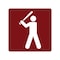 Sign Solutions Usa Baseball (Symbol), Aluminum, 24 in x 24 in DUS08DWT2424RS-096 - alternate 1